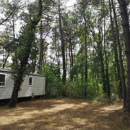 Le Ilo - Camping La Dune Blanche Camiers Dış mekan fotoğraf