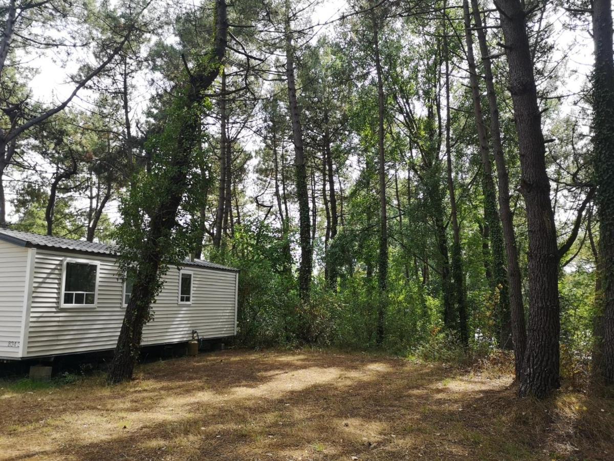 Le Ilo - Camping La Dune Blanche Camiers Dış mekan fotoğraf